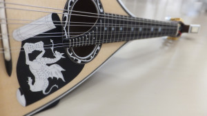 sinn-mandolin